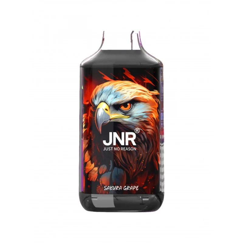 JNR Falcon 16000 Puffs Disposable Vape - Image 6